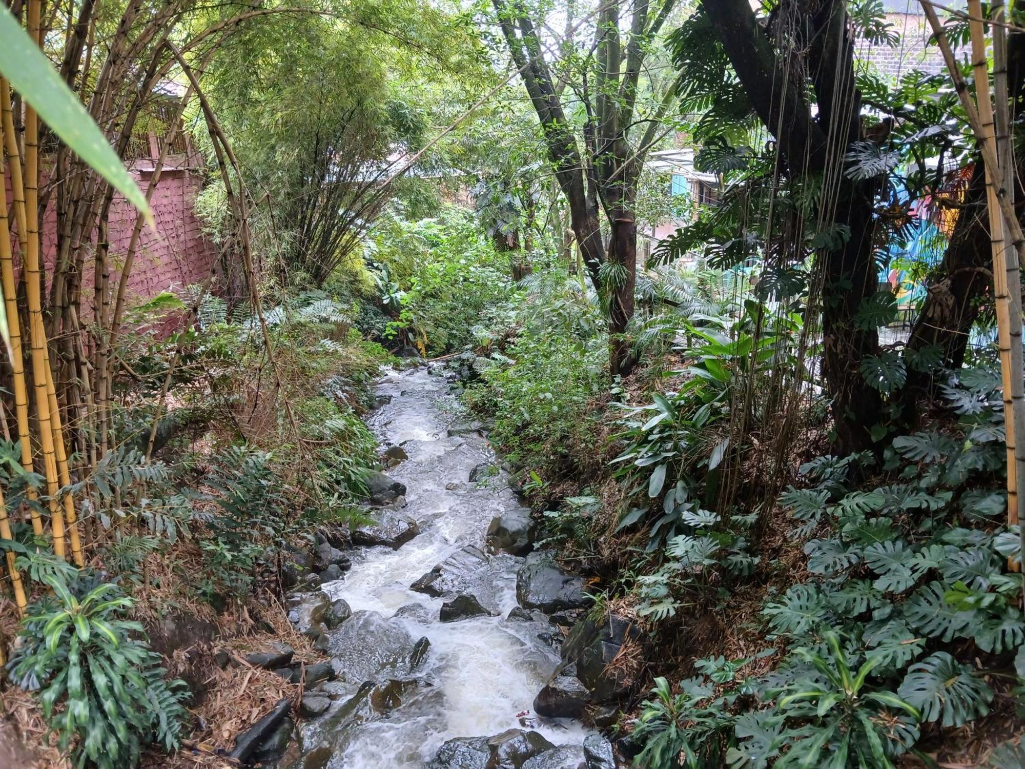 Yolo Hostel Medellin Exterior photo